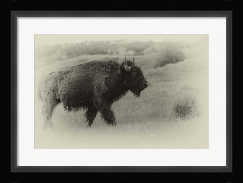 Framed Badlands Antique 12 Print