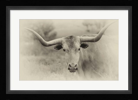 Framed Badlands Antique 14 Print