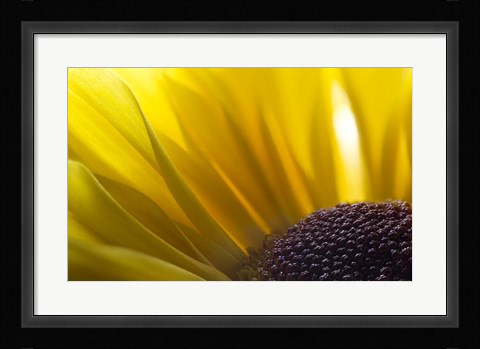 Framed 7 Ultra Macro Print