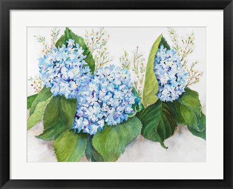 Framed Hydrangea and Wax Flower Print