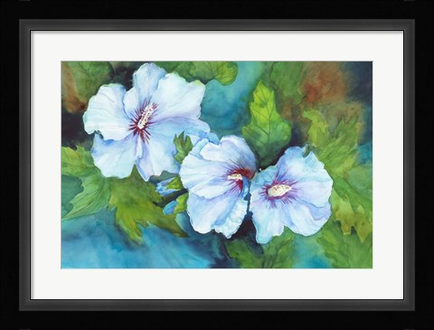 Framed Hibiscus with Red Centers Print