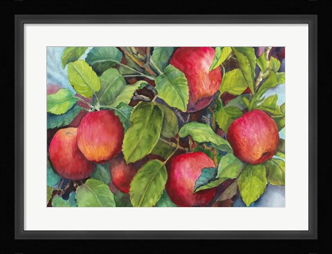 Framed Apples Print