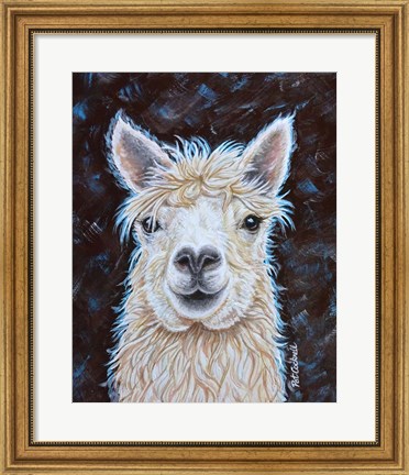 Framed Alpaca Print