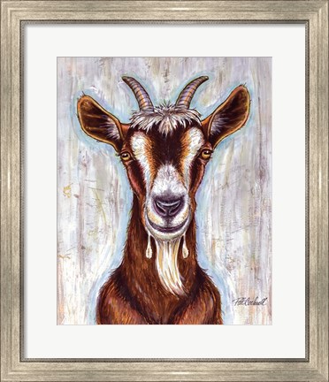 Framed Old Goat Print