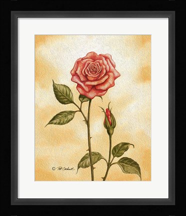 Framed Rose on Peach Print