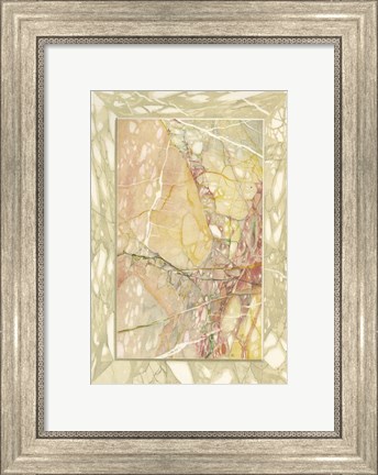 Framed Marble Varieties VIII Print