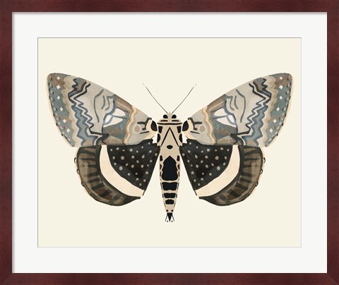 Framed Neutral Moth I Print