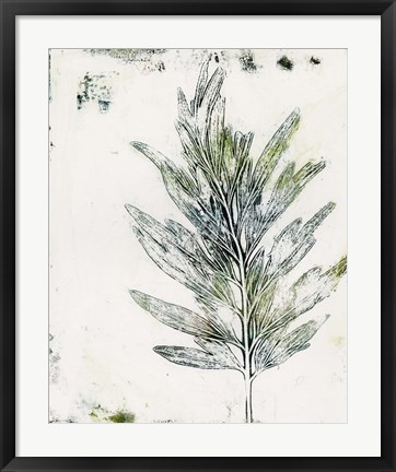 Framed Presence of Nature VIII Print