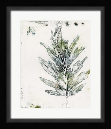 Framed Presence of Nature VIII Print