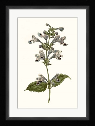 Framed Soft Blue Botanicals III Print
