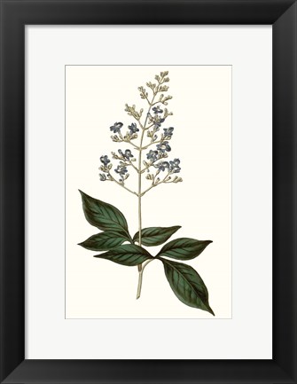 Framed Soft Blue Botanicals IV Print