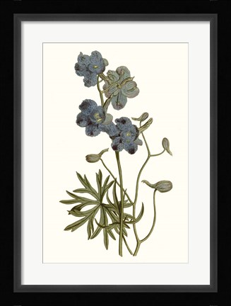 Framed Soft Blue Botanicals V Print