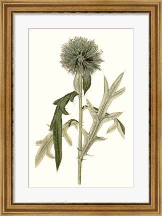 Framed Soft Blue Botanicals VI Print