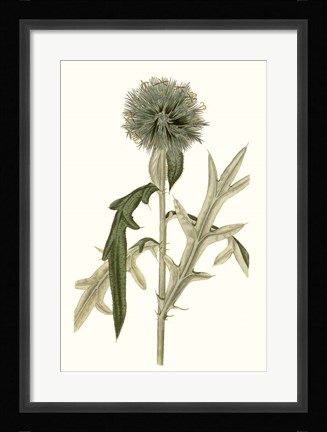 Framed Soft Blue Botanicals VI Print