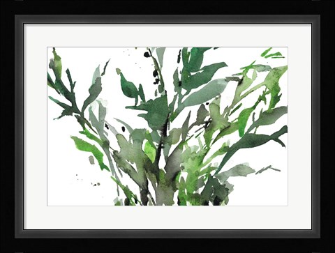 Framed Just the Leaves II Print
