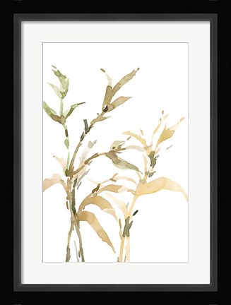 Framed Stems II Print