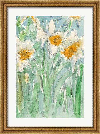 Framed Daffodils Stems II Print