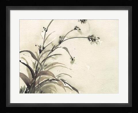 Framed Plant of the Age II Print