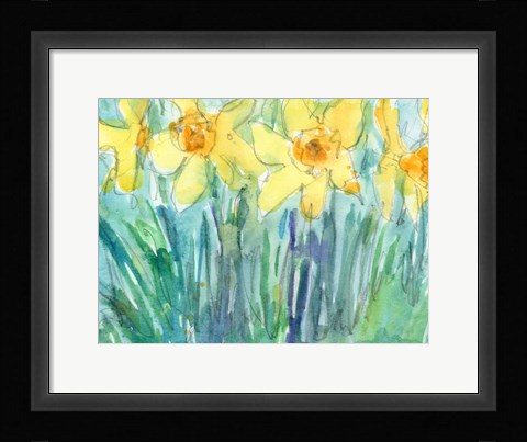 Framed Daffodil Blooms I Print