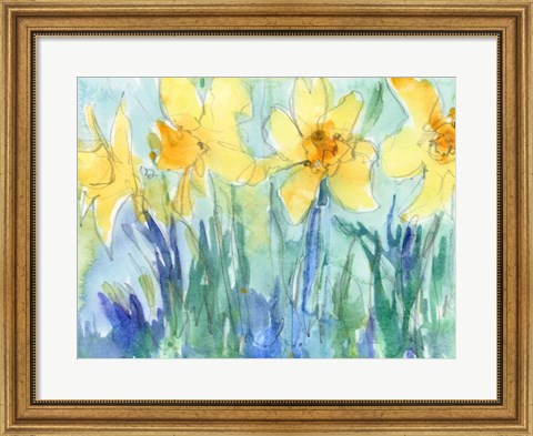 Framed Daffodil Blooms II Print