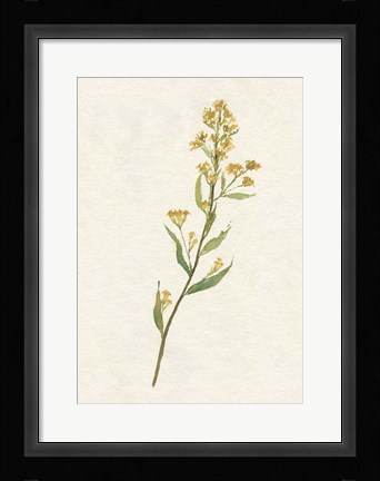 Framed Delicate Yellow I Print