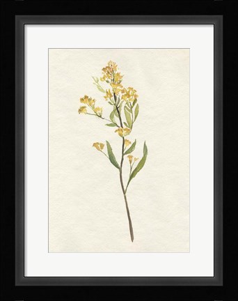 Framed Delicate Yellow II Print