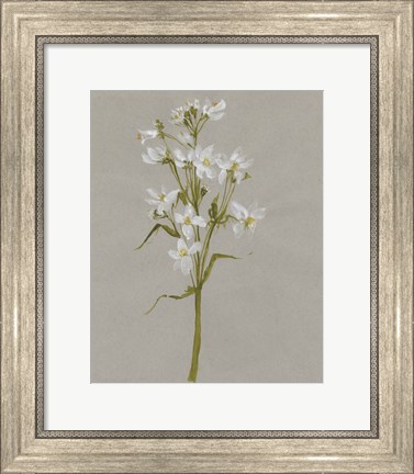 Framed White Field Flowers I Print