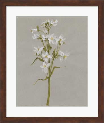 Framed White Field Flowers I Print
