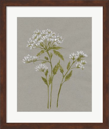 Framed White Field Flowers IV Print