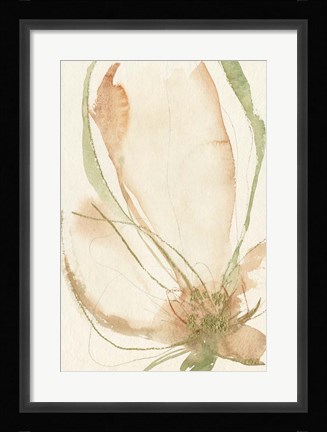 Framed Petal Sketches I Print