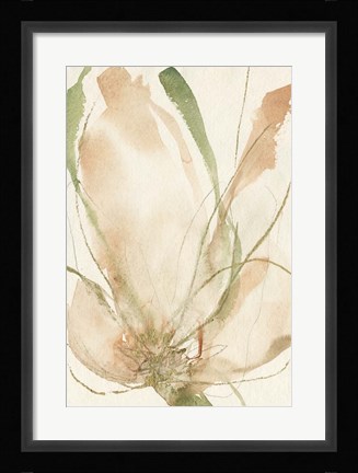 Framed Petal Sketches II Print