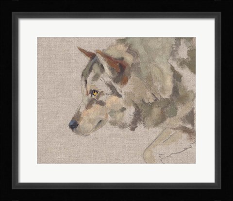 Framed Timber Wolf II Print