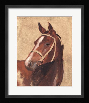 Framed Thoroughbred III Print