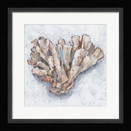Framed Coral Display IV Print