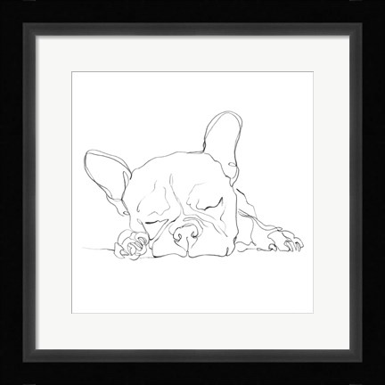 Framed French Bulldog Contour I Print
