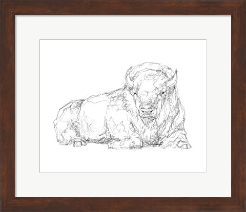 Framed Bison Contour Sketch I Print