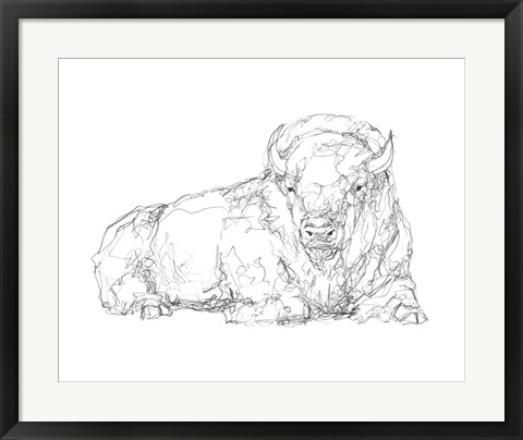 Framed Bison Contour Sketch I Print