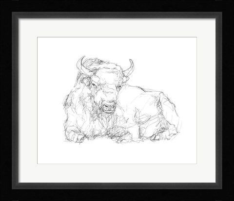 Framed Bison Contour Sketch II Print
