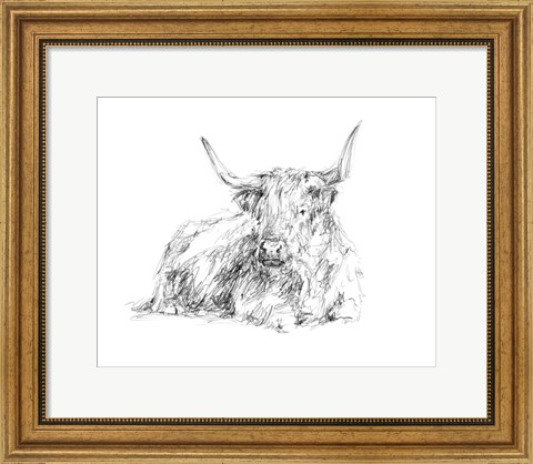 Framed Highland Cattle Sketch I Print