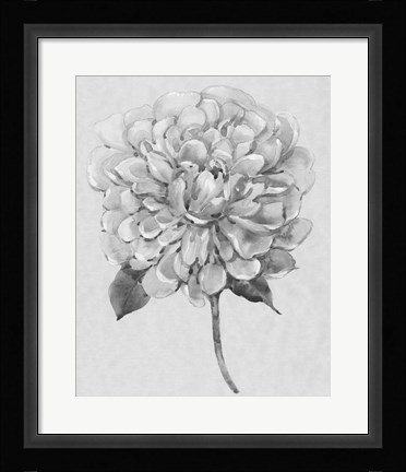 Framed Silvertone Floral I Print