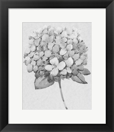 Framed Silvertone Floral II Print