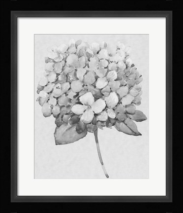 Framed Silvertone Floral II Print