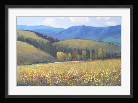 Framed Mountain Pass I Print