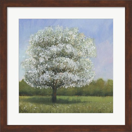 Framed Spring Blossom Tree I Print