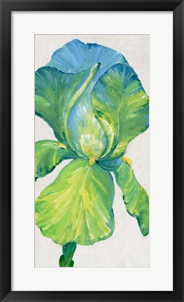 Framed Iris Bloom in Green II Print