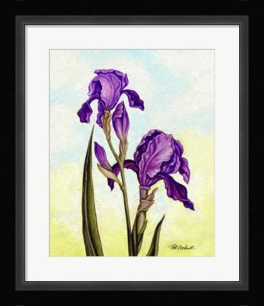 Framed Irises Print