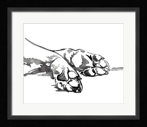 Framed Linear Paws I Print