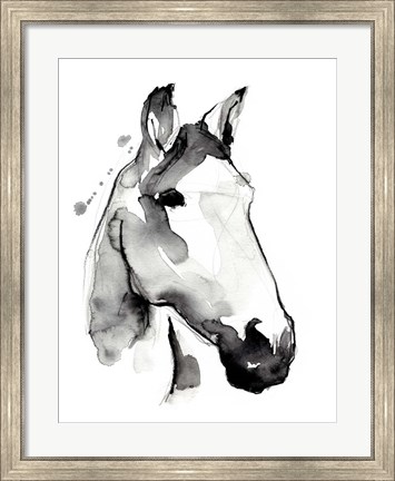 Framed White Stallion I Print