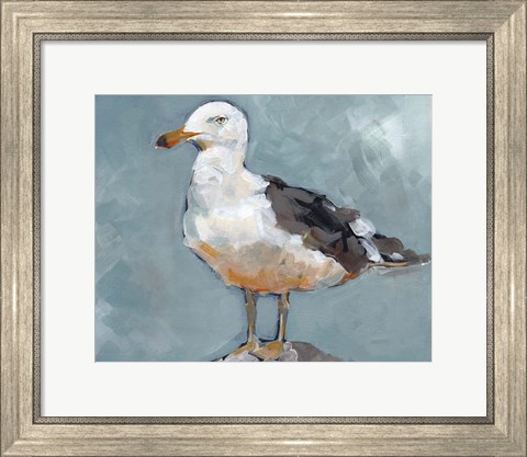 Framed Seagull Stance II Print