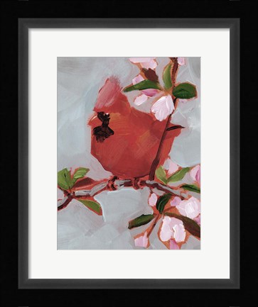 Framed Painted Songbird IV Print